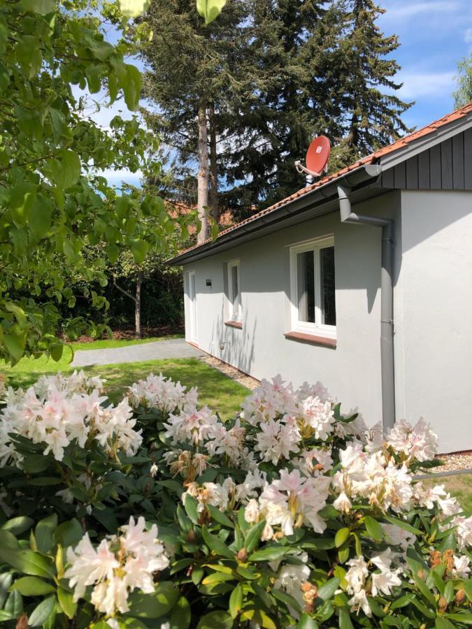 Kleine Auszeit In Salzhausen Villa Exteriör bild